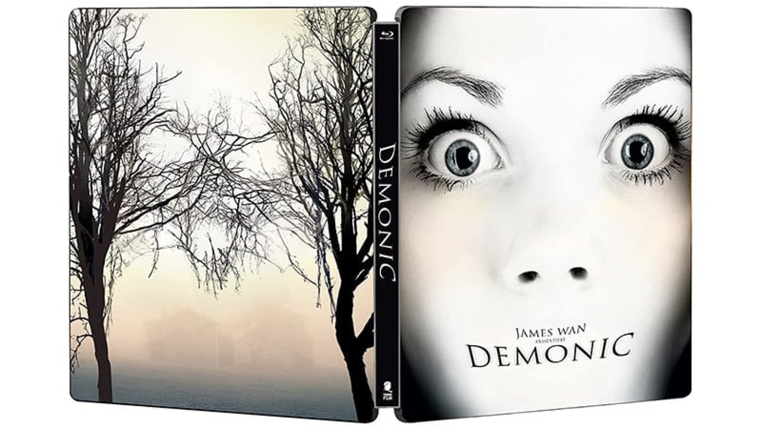 Demonic Haus des Horrors Steelbook Edition (Bluray