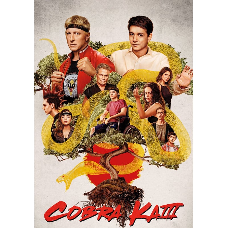 „Cobra Kai“ Staffel 3 ab Oktober als Blu-ray Standard Variante | Mediabooks bereits erhältlich – Update