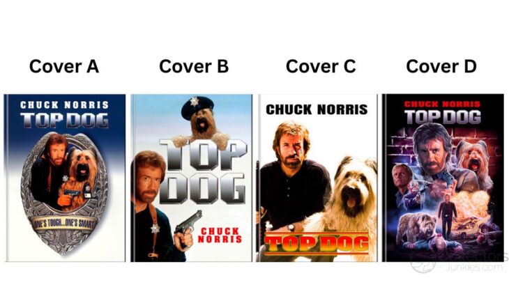 Mediabook News 5