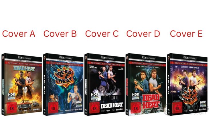 Mediabook News 7