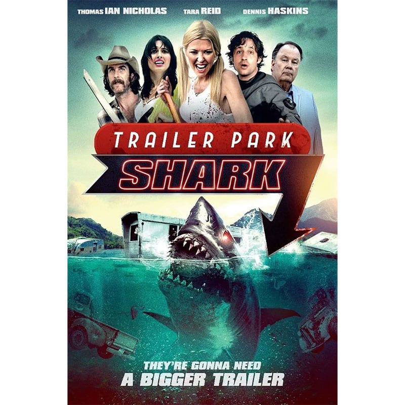 „Shark Shock“ auf Blu-ray & DVD ab Februar 2026