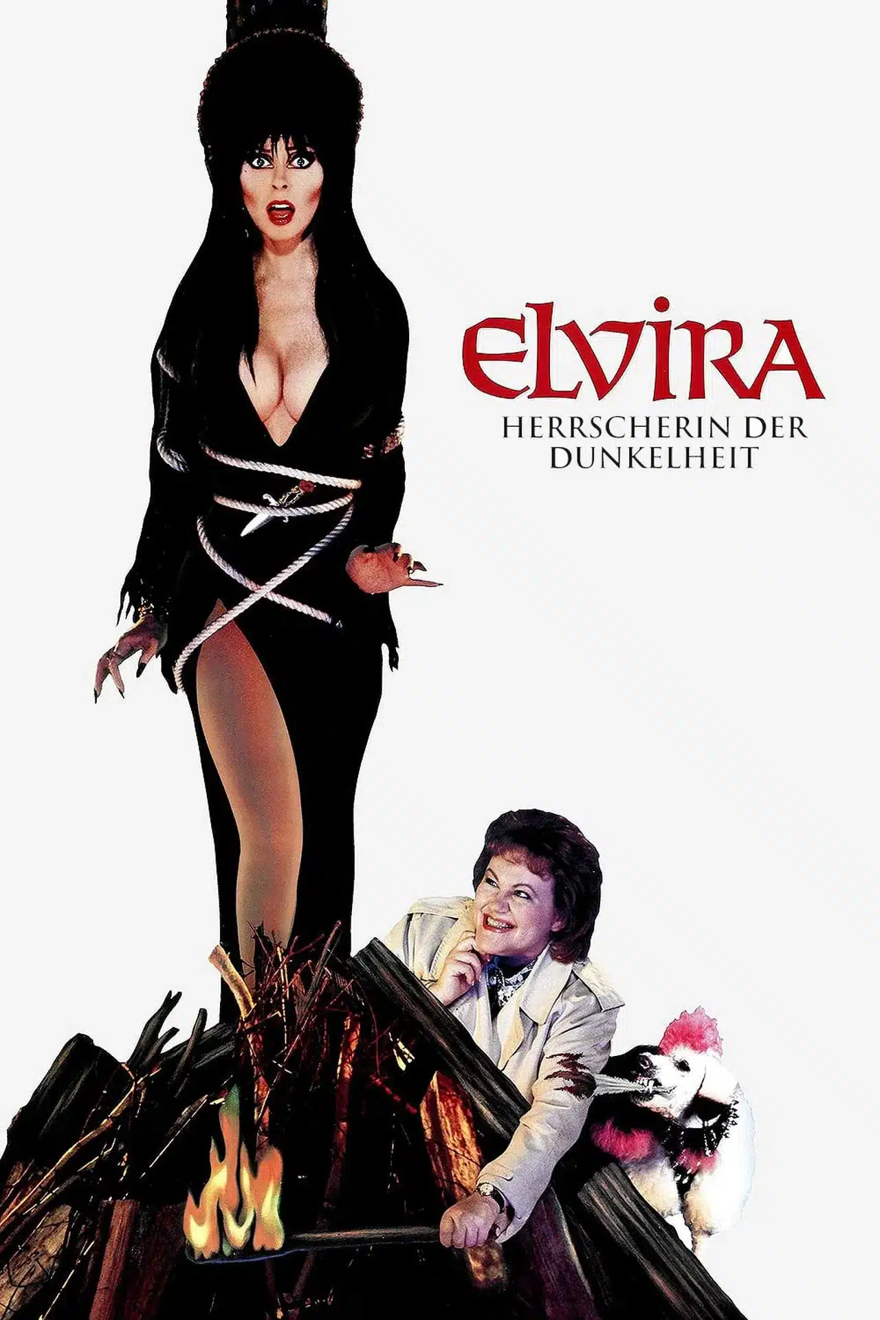 „Elvira“ Double Feature auf Blu-ray & 4K UHD ab Februar 2026