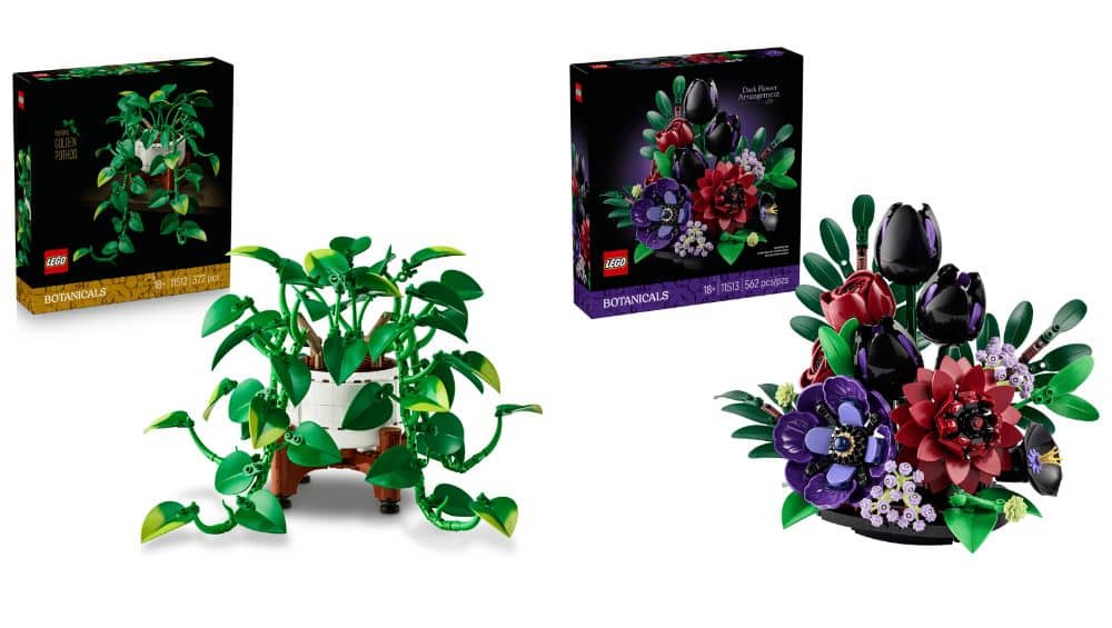 LEGO Botanicals „Hängende Efeutute“ und „Dunkles Blumengesteck“ ab August 2026